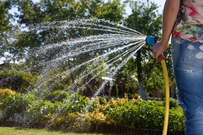 risparmiare acqua orto